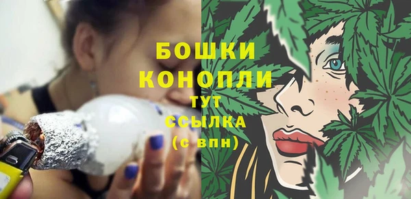 спиды Новодвинск